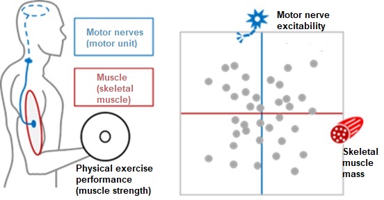 Flexible sensor functions_001_EN Flexible sensor functions_001_EN