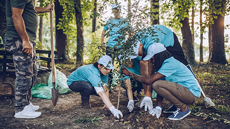 Umweltaktivitäten nach Standorten