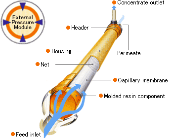 membrane_about_capillary_img1_txt