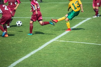 flexsensing_device_features_001_EN flexsensing_device_features_001_EN