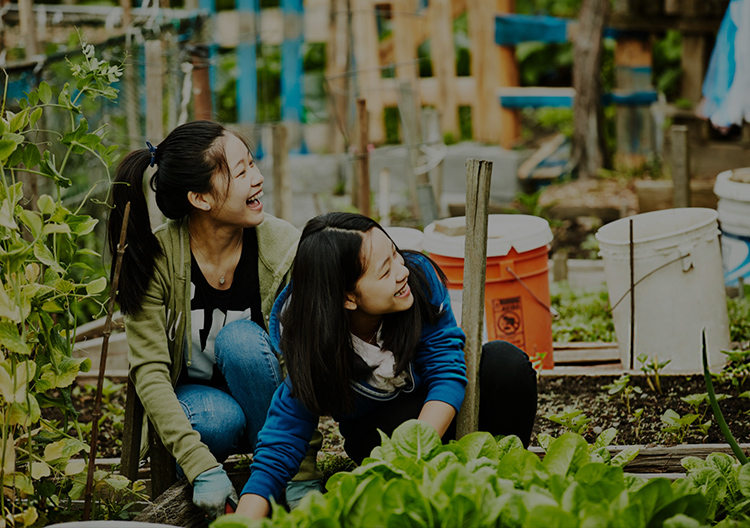 Nitto’s Sustainability