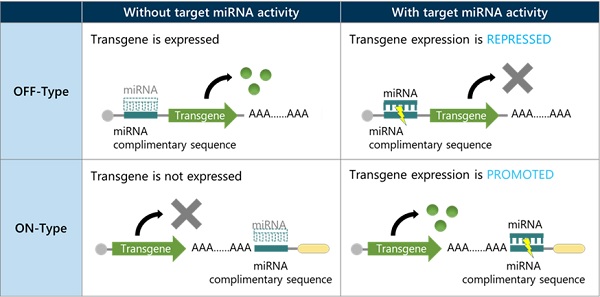 Figure 1 RNA Switch Overview