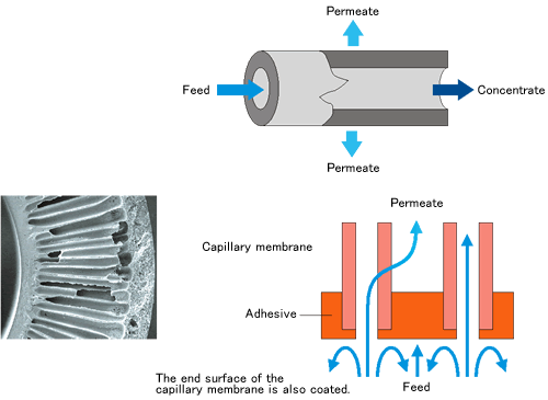 membrane_about_capillary_img6_txt