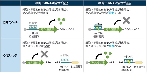 図1　RNAスイッチの概要