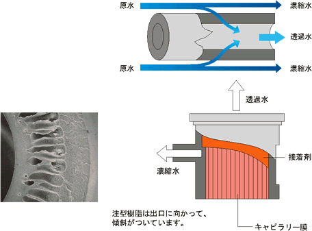 membrane_about_capillary_img3_txt