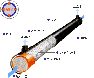 membrane_about_capillary_img4_txt