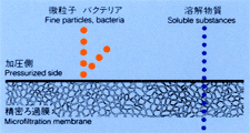 membrane_about_detail_img1_txt