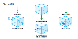 temish_001_img_structure_txt