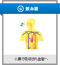 飲み薬　小腸で吸収され血管へ