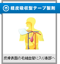経皮吸収型テープ製剤　皮膚表面の毛細血管に入り患部へ