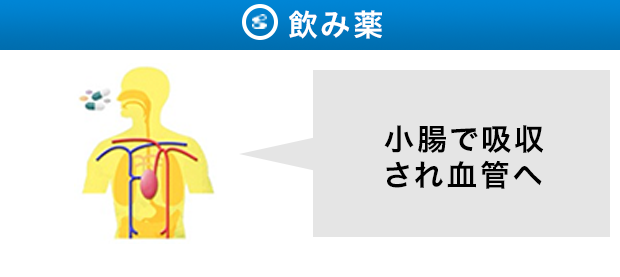 飲み薬　小腸で吸収され血管へ