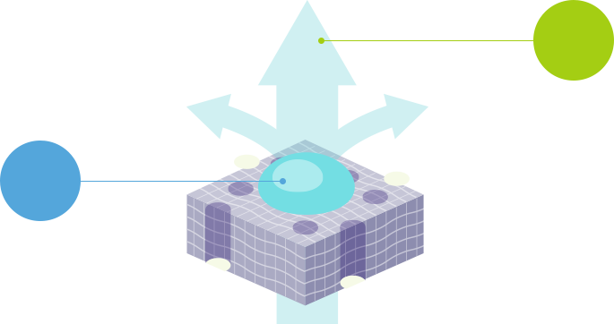 TEMISH™ 通気性と防水性 図版