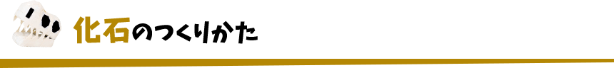 化石のつくりかた
