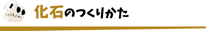 化石のつくりかた