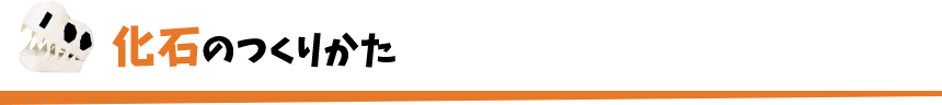 化石のつくりかた