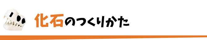 化石のつくりかた