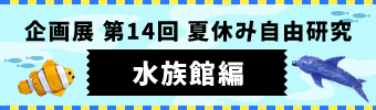 企画展 第14回 夏休み自由研究 水族館編