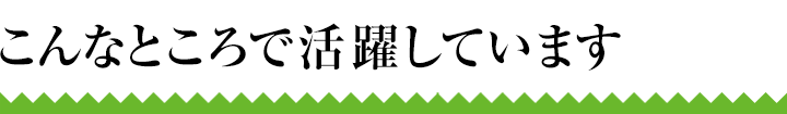 こんなところで活躍しています