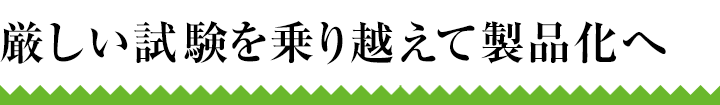 厳しい試験を乗り越えて製品化へ