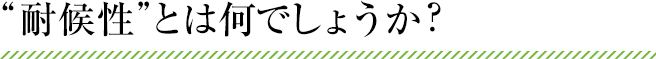 “耐候性”とは何でしょうか？