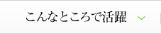 こんなところで活躍