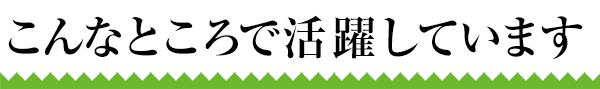 こんなところで活躍しています
