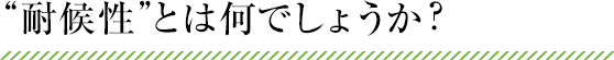 “耐候性”とは何でしょうか？