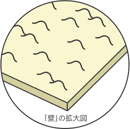 「壁」の拡大図