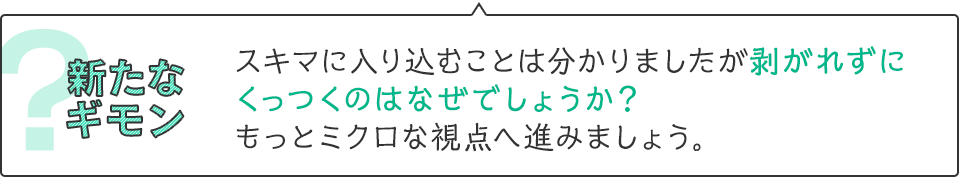 新たなギモン　スキマに入り込むことは分かりましたが剥がれずにくっつくのはなぜでしょうか？もっとミクロな視点へ進みましょう。