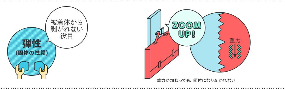 弾性(固体の性質)　被着体から剥がれない役目