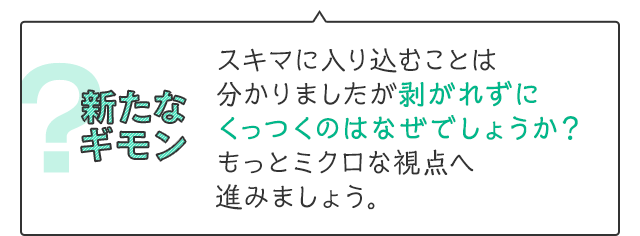 新たなギモン　スキマに入り込むことは分かりましたが剥がれずにくっつくのはなぜでしょうか？もっとミクロな視点へ進みましょう。