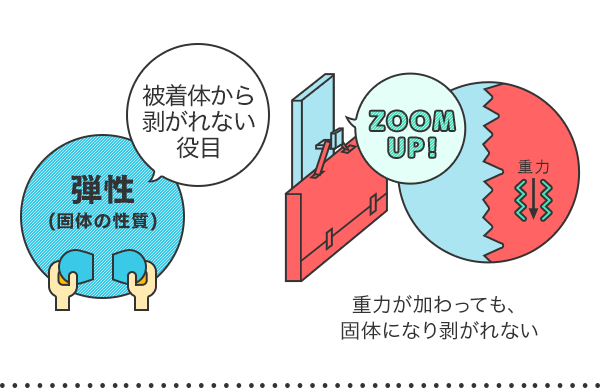 弾性(固体の性質)　被着体から剥がれない役目