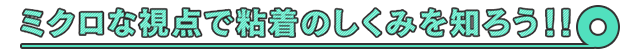 ミクロな視点で粘着のしくみを知ろう！！