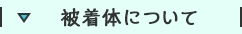 被着体について