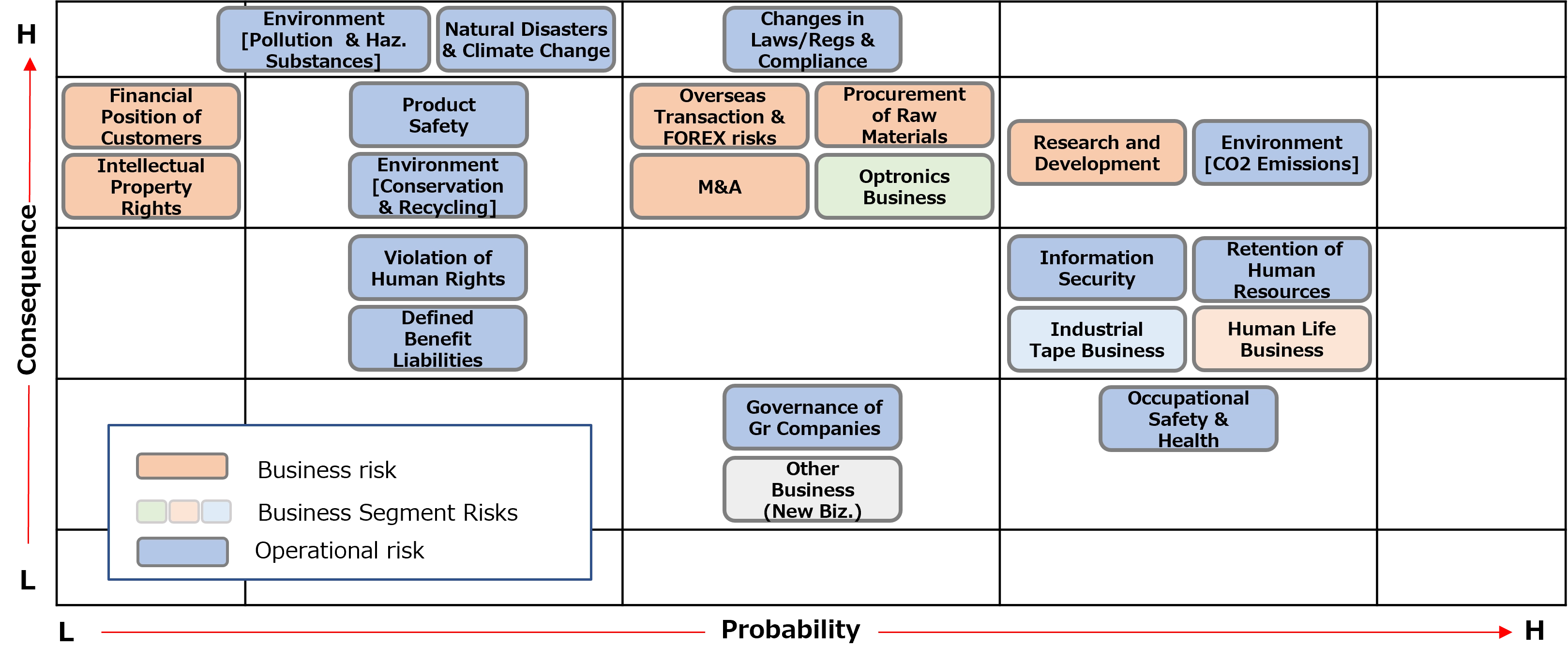 Risk map of the current fiscal year