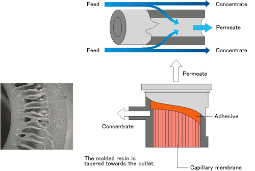 membrane_about_capillary_img3_txt