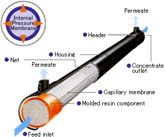 membrane_about_capillary_img4_txt