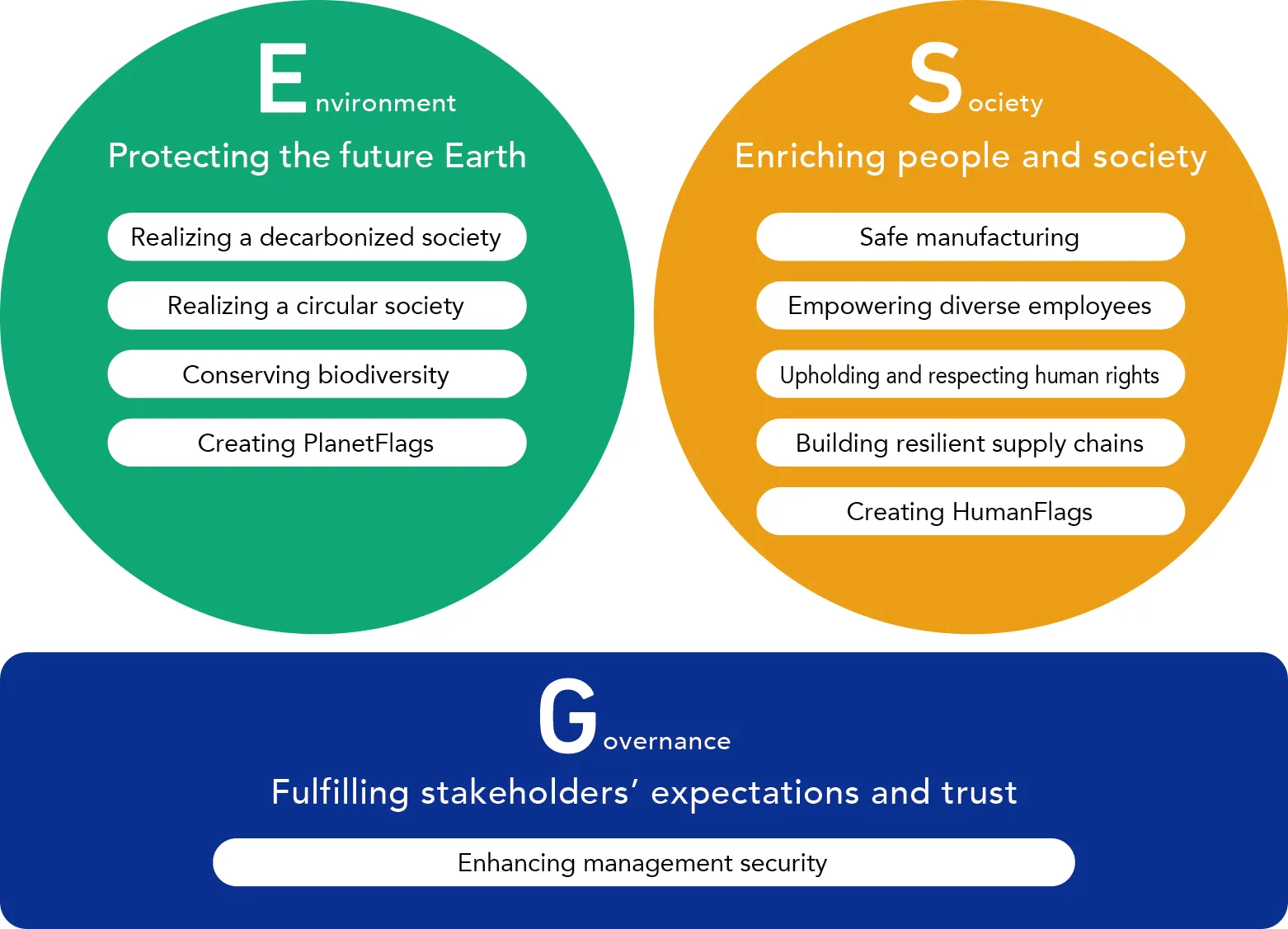 Environment: Protecting the future Earth, Society: Enriching people and society, Governance: Fulfilling stakeholders' expectations and trust